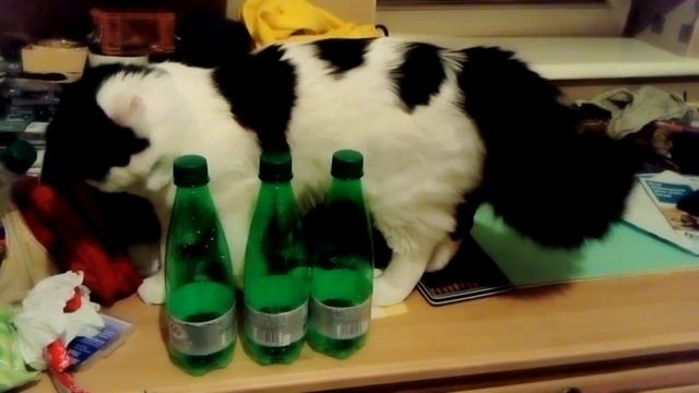 5 Green Bottles смотреть онлайн