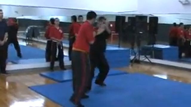 Natural Motion Systems Diagonal Martial Workshop смотреть онлайн