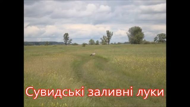 Моє рідне село Сувид смотреть онлайн