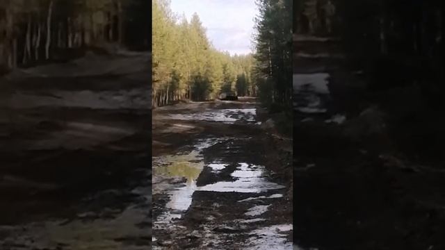 Ваз 2104 начало