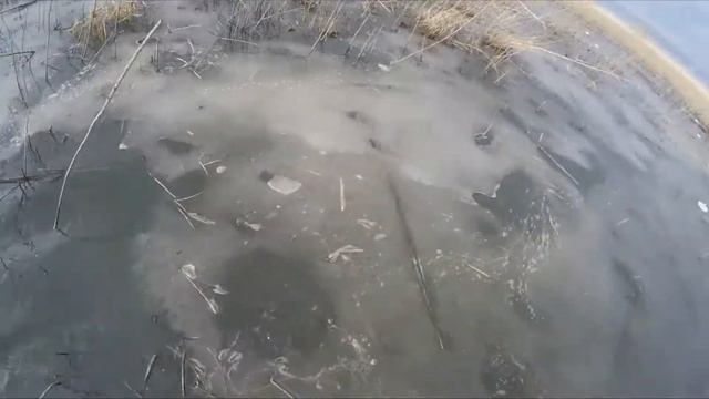 Шапсуга Щука Ветер Декабрь смотреть онлайн