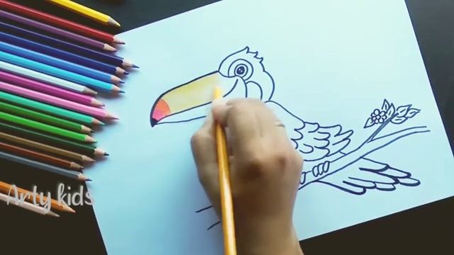 How to Draw a Toucan | Easy steps for beginner kids смотреть онлайн