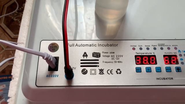 Серия2) Первый день инкубации РЯБА 36 ИНКУБАТОР ( КИТАЙСКИЙ) КАКИЕ ТРУДНОСТИ ВОЗНИКЛИ_ 8 марта 2025г смотреть онлайн