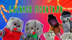 БАСИКОВ ПОХИТИЛИ / БАСИКИ  СБЕЖАЛИ ОТ ХОЗЯЙКИ