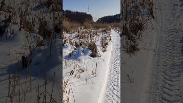 VID_20250301_111835 смотреть онлайн