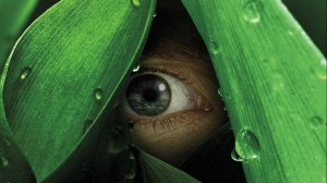 Сериал Река — 1 сезон 7 серия / The River