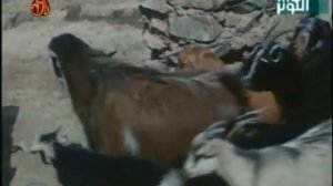 Пророк Юсуф 3 серия а с  на Чеченском языке