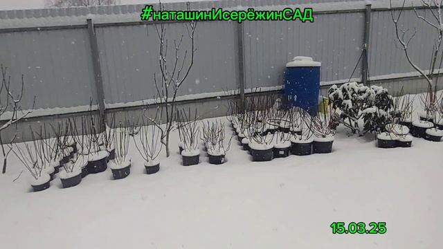 Погода может быть переменчива🤦♀️- 
МЫ по-прежнему 🤗С ВАМИ🤗🌷🌷🌷

#наташинИсерёжинСАД 
#сад
#кра