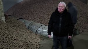 DokaGene. В КФХ Юзефов поступил семенной картофель сорта ФЛАМИНГО