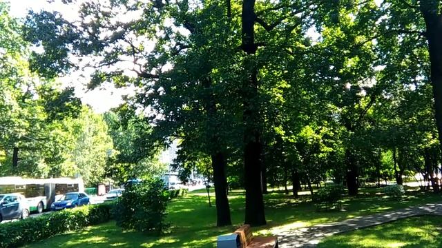 sample-5s смотреть онлайн