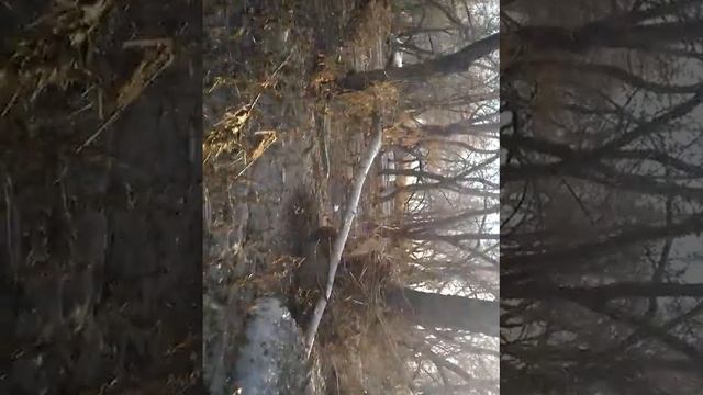 Посёлок кокпекты, Огромные льдины!