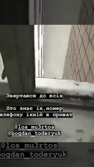 ЯКІ У ЛЬВОВІ ЗАРАДИ ЗАБАВКИ ВИКИНУЛИ З ВІКНА КОШЕНЯ смотреть онлайн