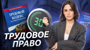 Трудовое право ЕГЭ Обществознание 2025 I Умскул