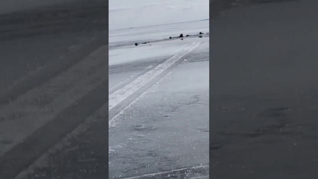 Что дороже Рыбалка или Жизнь? смотреть онлайн