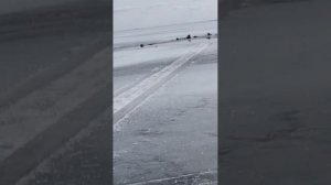 Что дороже Рыбалка или Жизнь?
