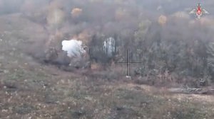 Эдит про СВО