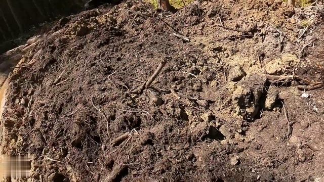 Строительство, дорога в лесу смотреть онлайн