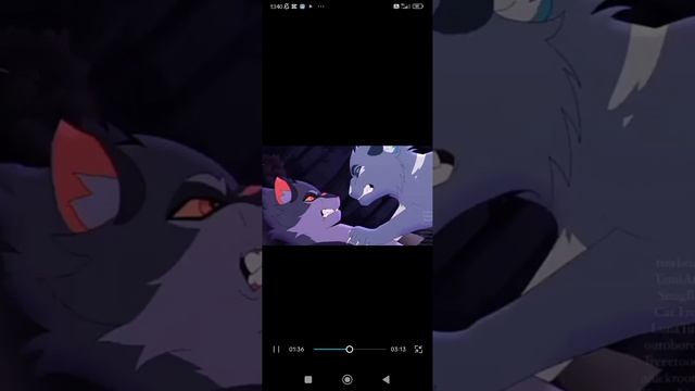Коты-воители/клип фейерверк\ смотреть онлайн
