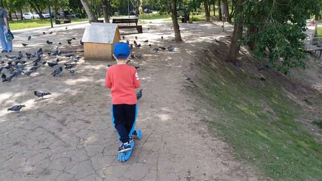 VLOG:Прогулка по Рязани пруд-Серая шейка смотреть онлайн