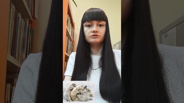 Впадают ли в спячку белые медведи? смотреть онлайн