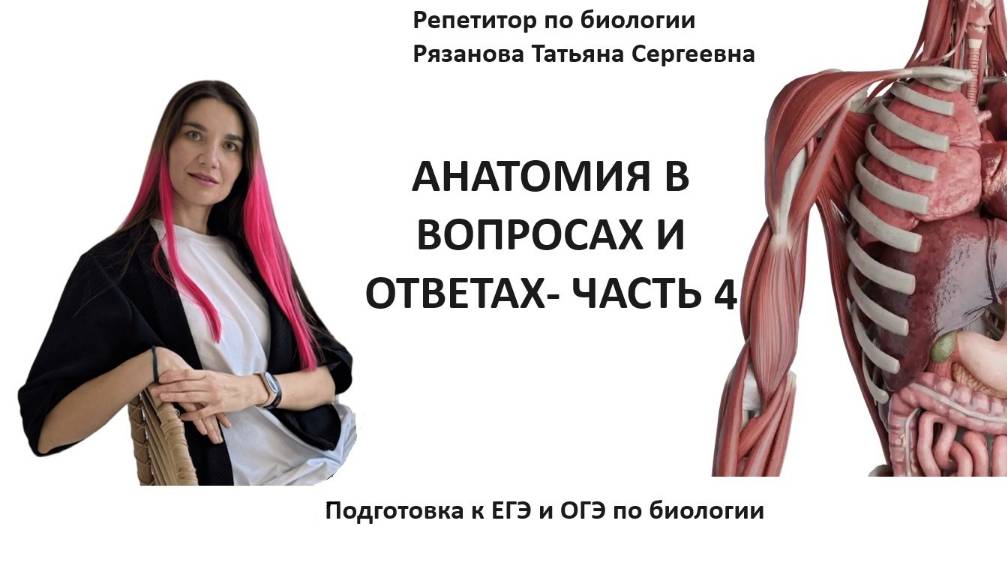 контрольная 4  анатомия- иммунитет, сердце проверь себя!