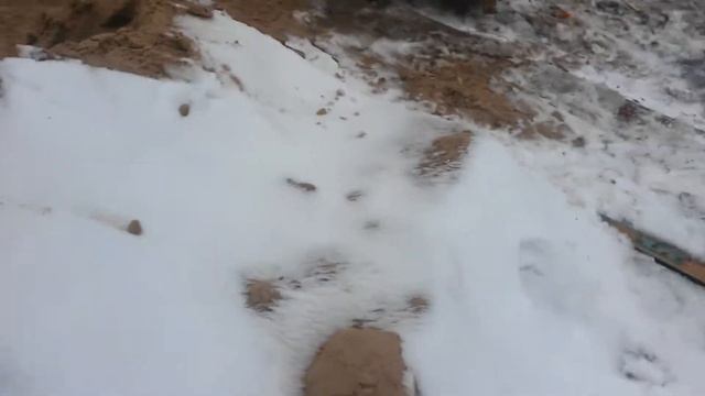 Экзамен на вилочном погрузчике смотреть онлайн