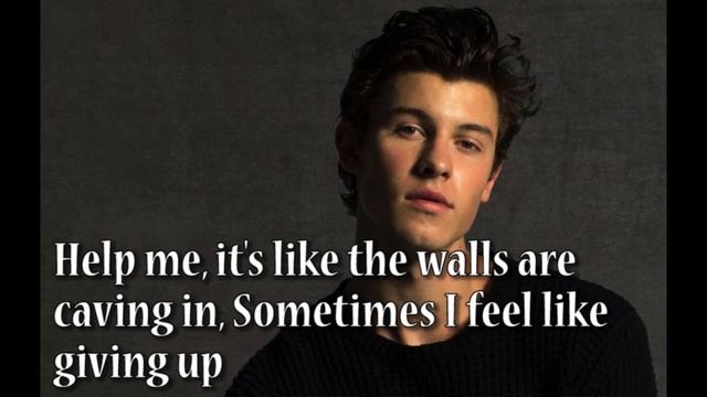 Shawn Mendes - In My Blood (Lyrics) смотреть онлайн