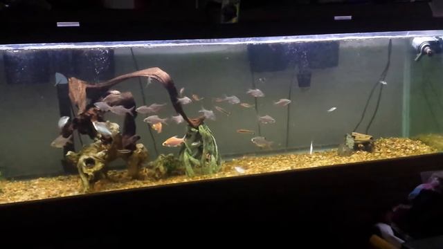 My 125g смотреть онлайн