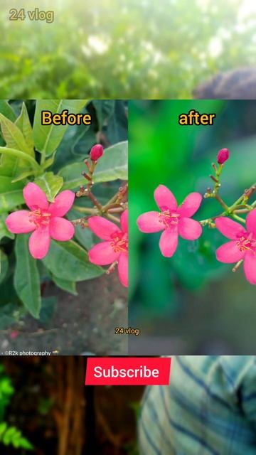 24 vlog Android mobile photography 📸📷 today editing photo 📷 смотреть онлайн