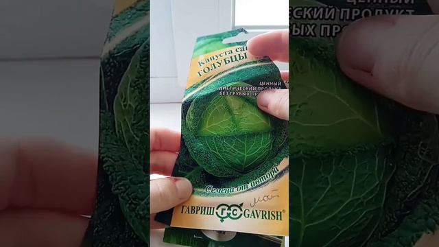 🥦обзор семян капусты на сезон 2024🥦 смотреть онлайн