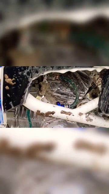 Питбайк принимает пенные ванны. Мою питбайк после жаркого сезона. смотреть онлайн