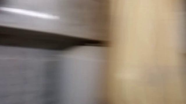 в гостях у художника