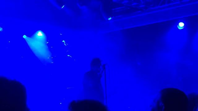 Echo & The Bunnymen – Seattle – Flowers – June 2024 смотреть онлайн