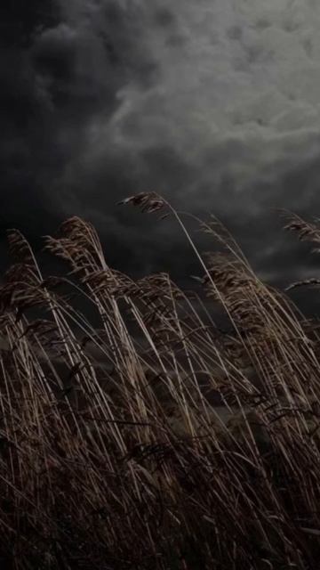 Дождь и гроза #гроза #дождь #погода #молнии смотреть онлайн