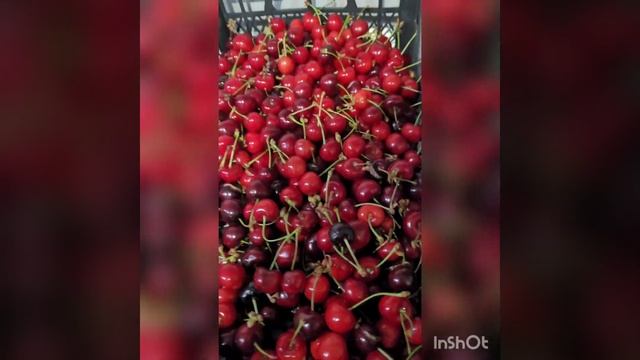 компот из черешни,когда дома делать нечего☺️