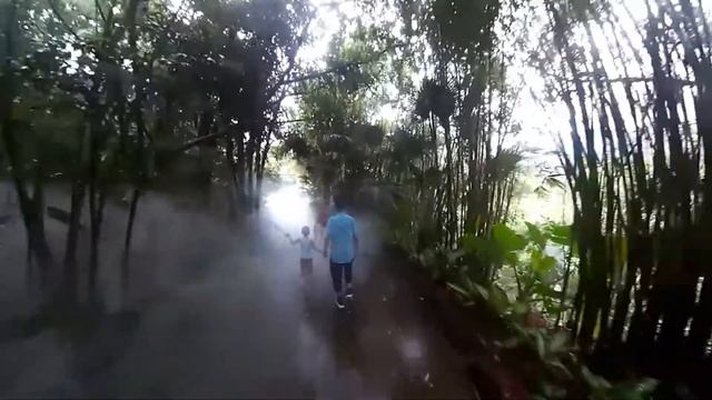 A myst at Yanoda rainforest park in China смотреть онлайн