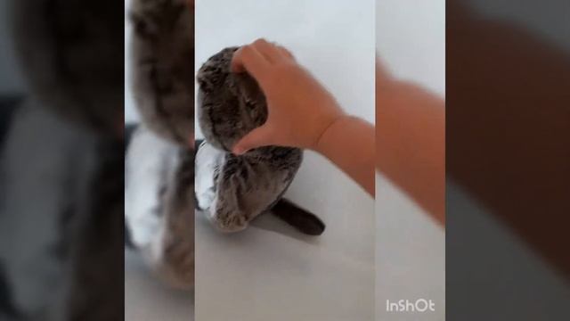как купать басика🐈🐱🐈🏖🏖🏝🏝 смотреть онлайн