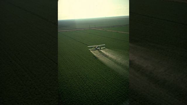 Pesticide | Wikipedia audio article смотреть онлайн
