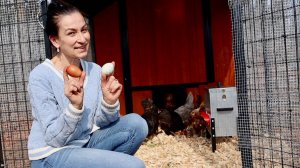 Забираем Наших Красавиц 🐓 | Первые Яйца 🥚 | Семейный Влог | Эгине | Heghineh