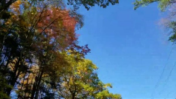 Fort Ticonderoga, New York