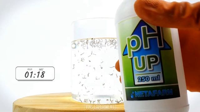 EXPERIMENT MOSQUITO LARVAE VS PH SCALE - How to Get Rid Mosquito Larvae смотреть онлайн