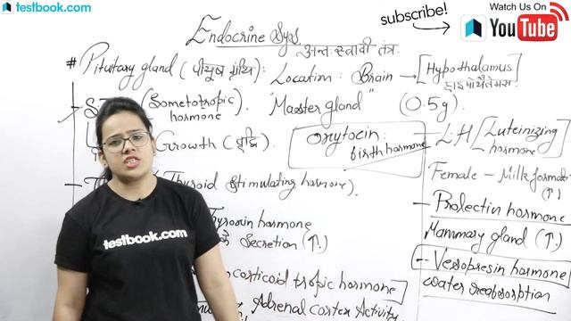 Endocrine System for RRB Biology | Crack RRB NTPC 2019, Railway Group D & JE | GS for Railways смотреть онлайн