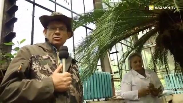 Гүлзарға толы Алматы смотреть онлайн