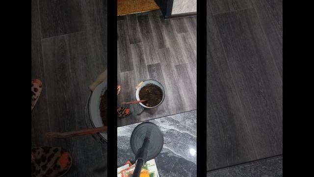 Сажаем рассаду