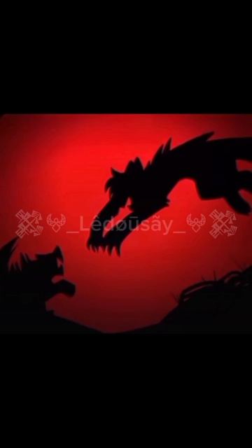 #КотыВоители#Бич