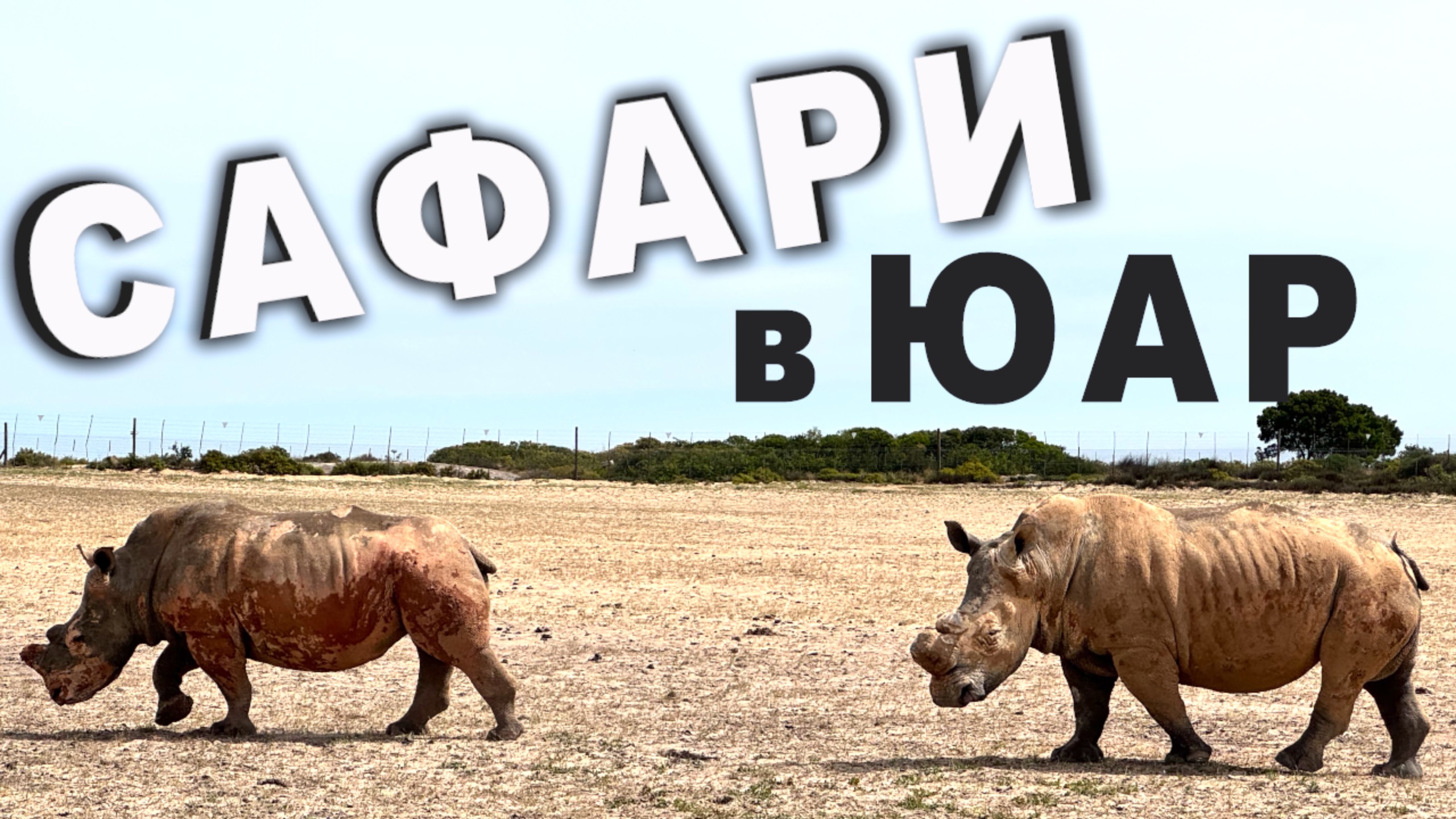 Сафари за 90 минут в ЮАР / Buffelsfontein Game & Nature Reserve смотреть онлайн