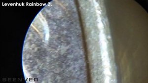 Какой микроскоп выбрать для ребенка? Исследование микроскопов Levenhuk