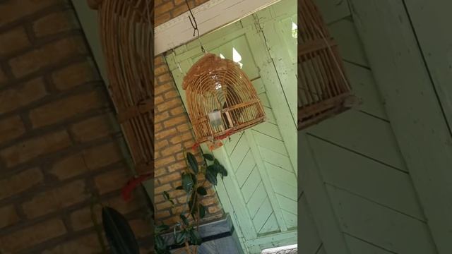 27 июня 2022 г. смотреть онлайн