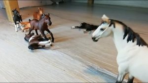 🐴Horse-Show🐴 3-СЕЗОН 12-ВЫПУСК (ЛОШАДЬ КАМАРГУ) «На Волоске»