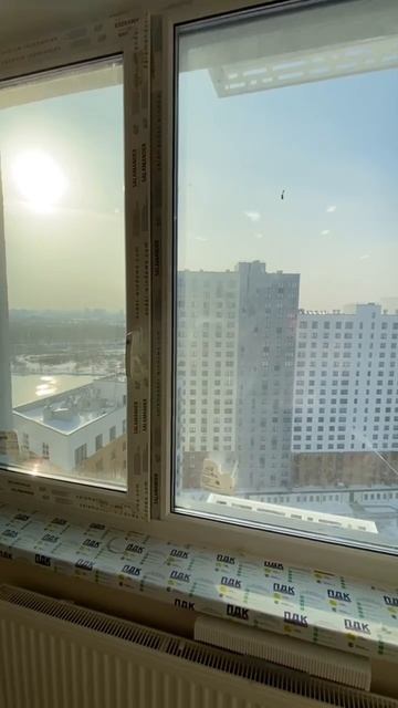 IMG_8152 смотреть онлайн